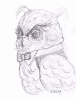Wise Owl